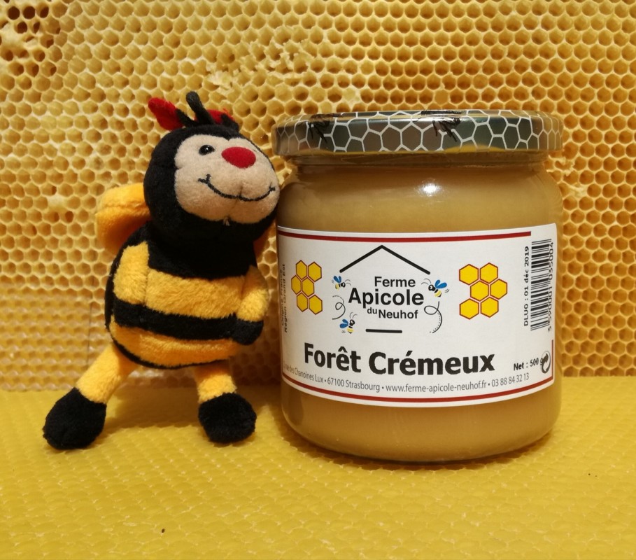 Miel de forêt crémeux