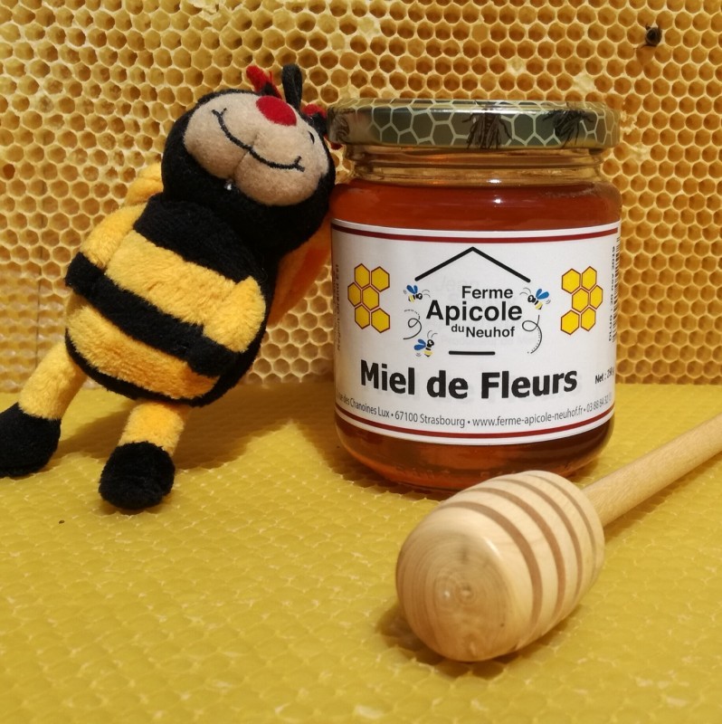 Miel toutes fleurs